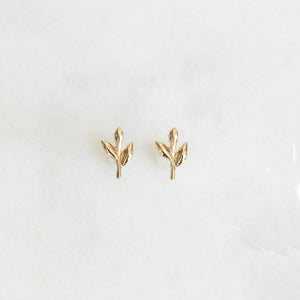 עגילי ארטמיס זהב צהוב